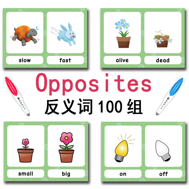 100 Gruppi di Carte Flash con  - Party Games New Year recensione e prezzo
