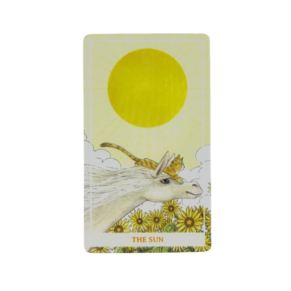 Carte dei Tarocchi Sunny Orang - Party Games Sunny recensione e prezzo